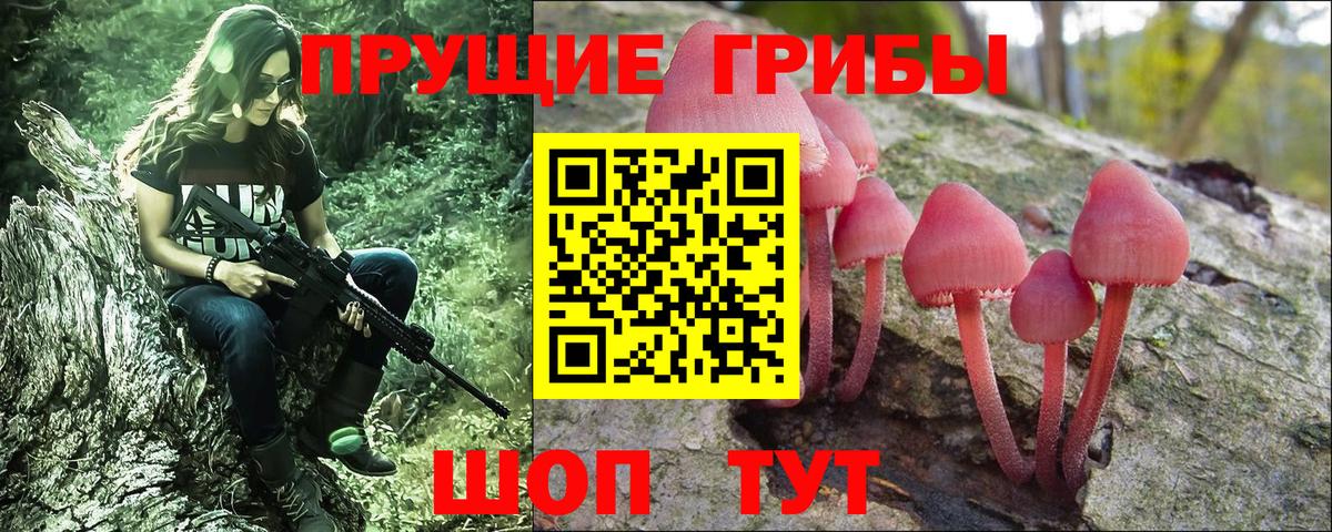 Галлюциногенные грибы Psilocybe  Вход с VPN  закладка  Видное 