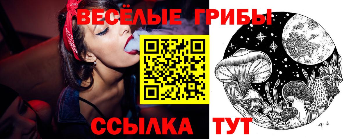 Псилоцибиновые грибы Psilocybine cubensis Видное